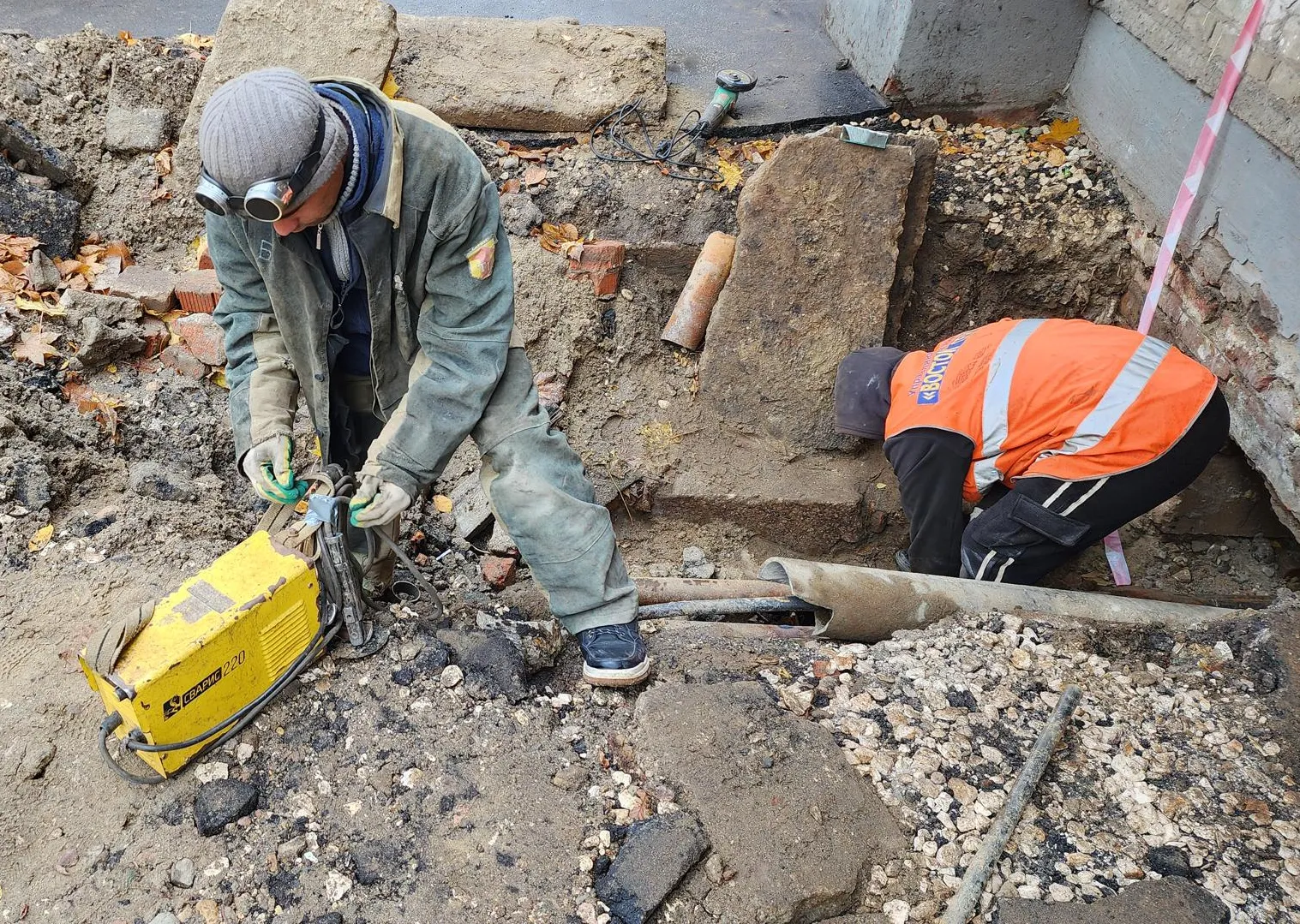 Фото: Ксения Пашуто