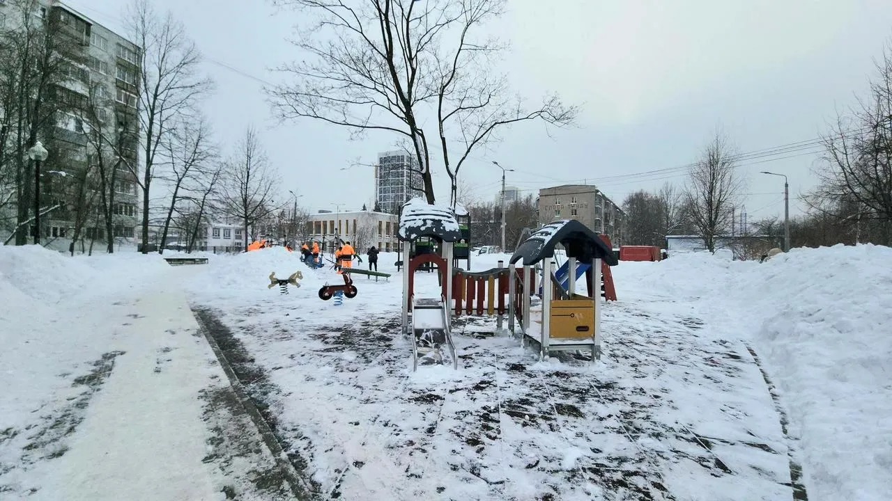 МедиаБанк Подмосковья/Валерия Исаева