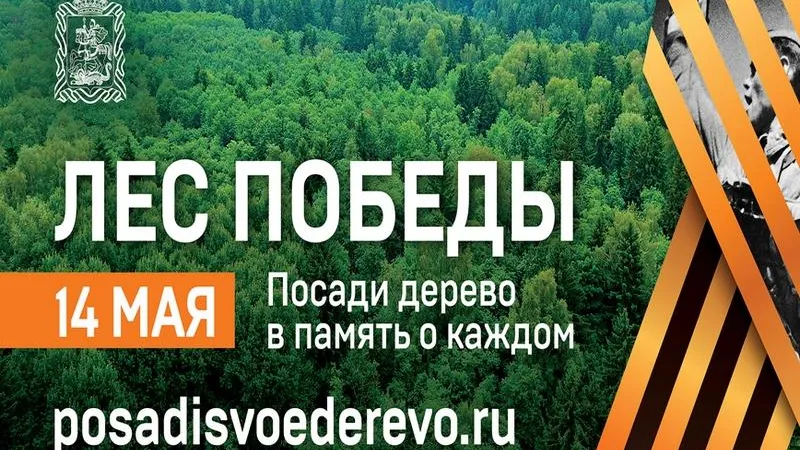 «Лес Победы» в Подмосковье высадят на 300 гектарах