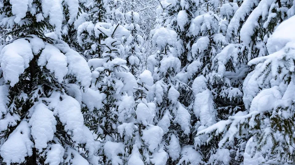 Фото: REGIONS/Роман Малышенко