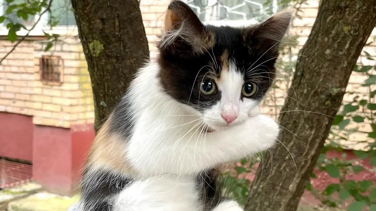 фото: соцсети