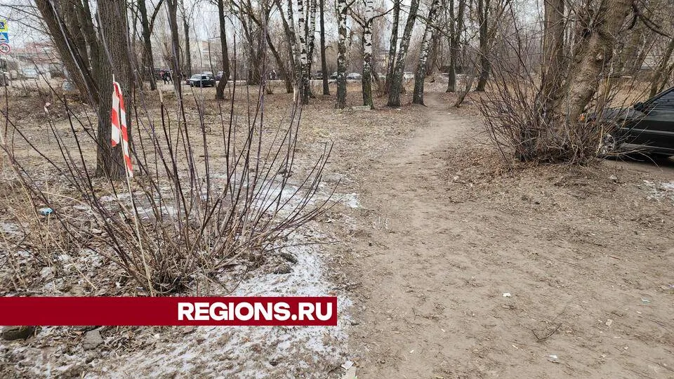 Фото: Ольга Сычева