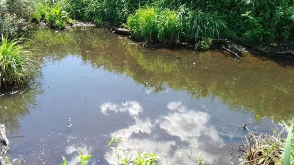 Фото: Министерство экологии и природопользования Московской области