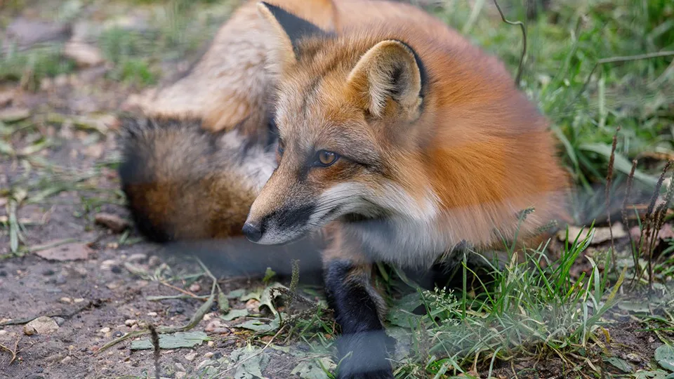 Фото: медиасток.рф