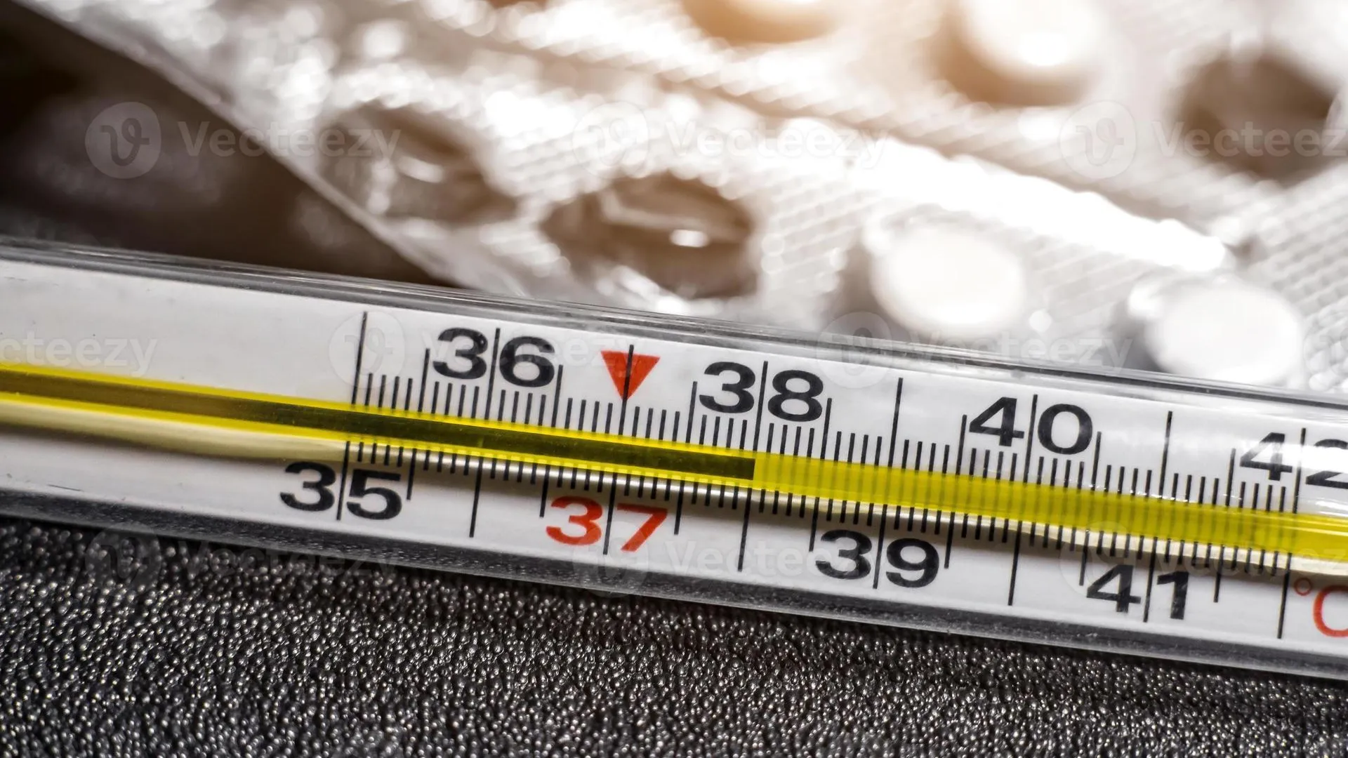 Фото: Pixabay.com