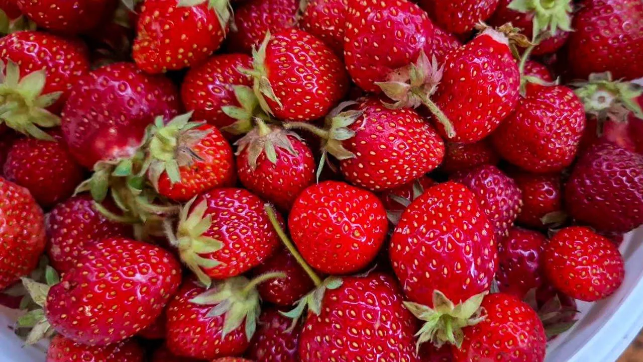 REGIONS/Юлия Габбасова