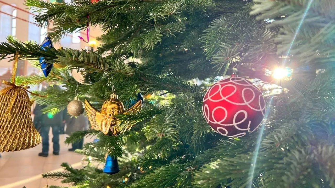 Фото: vk.com/Николо-Радовицкий монастырь