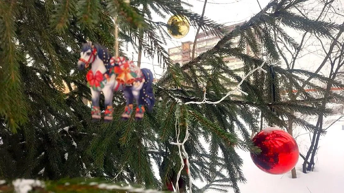 пресс-служба администрации г.о. Долгопрудный