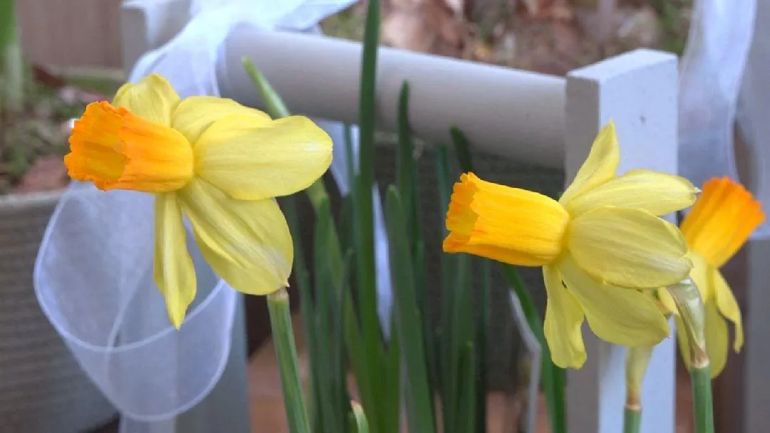 МедиаБанк Подмосковья/Наталия Надточая