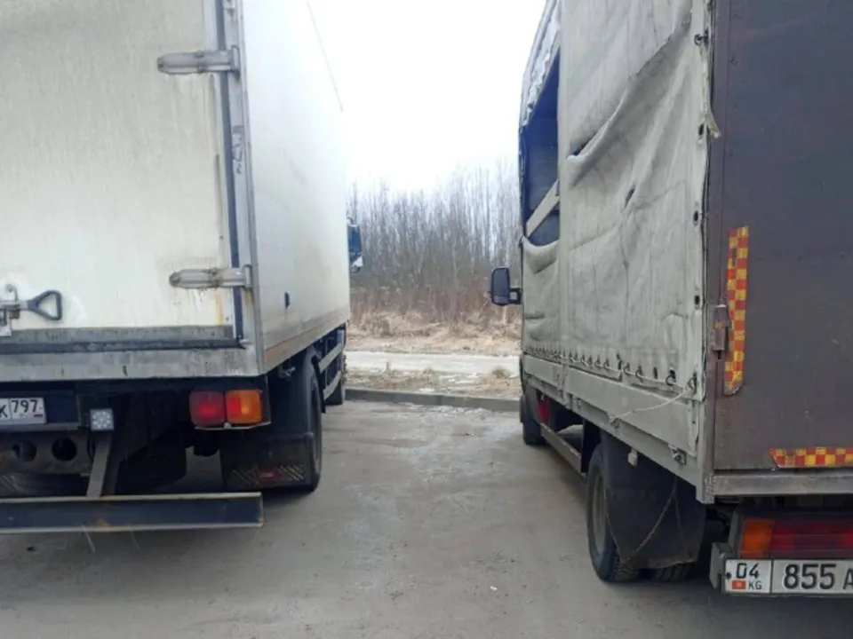 Фото: пресс-служба администрации г.о. Ленинский