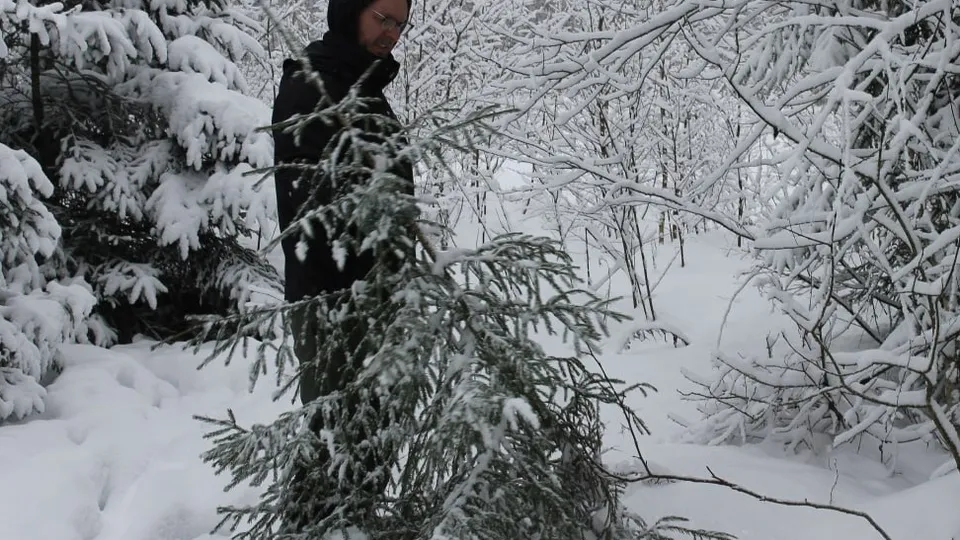Фото: пресс-служба Комитета лесного хозяйства Московской области