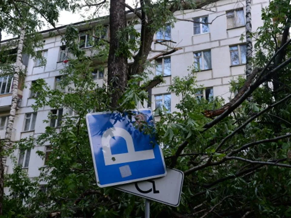 «Найти отдел с хлебом»: названы правила выживания в городе при урагане