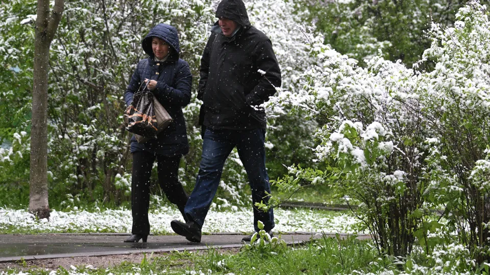 Фото: РИА Новости/Кирилл Зыков