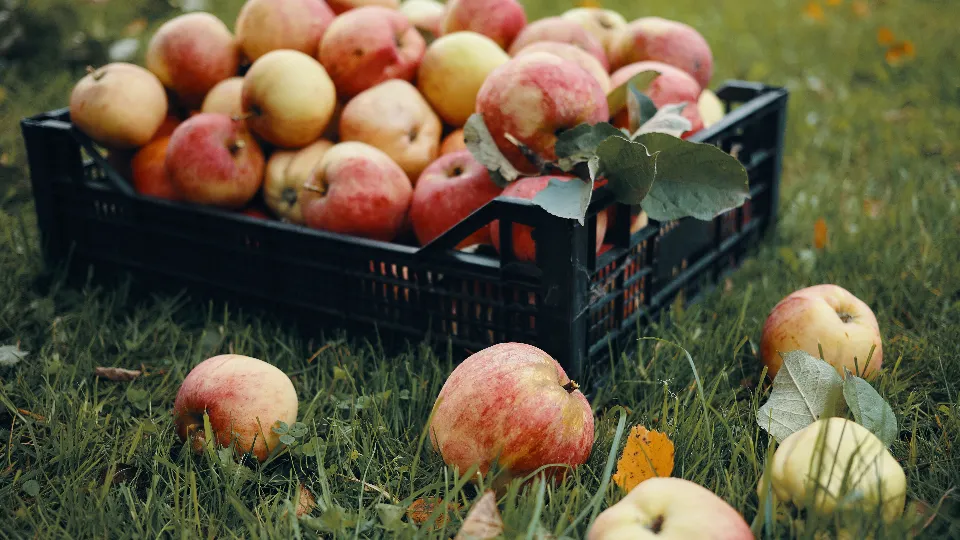 Фото: freepik.com