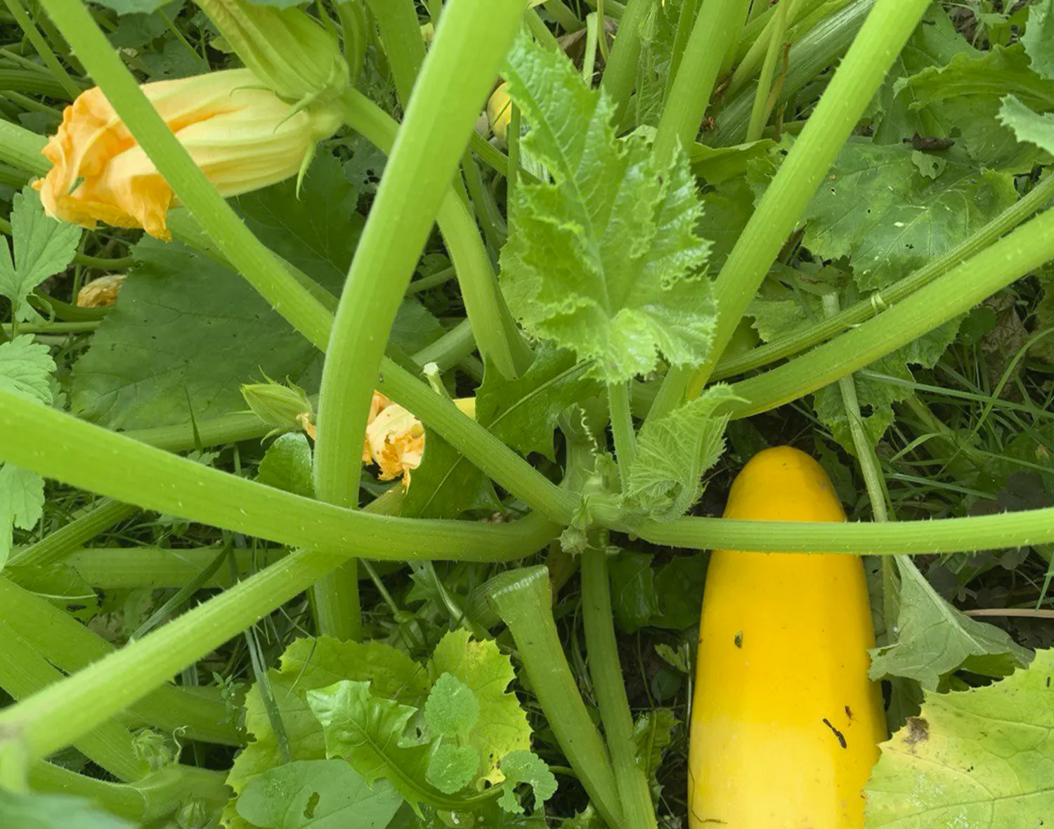 Фото: Екатерина Елисеева