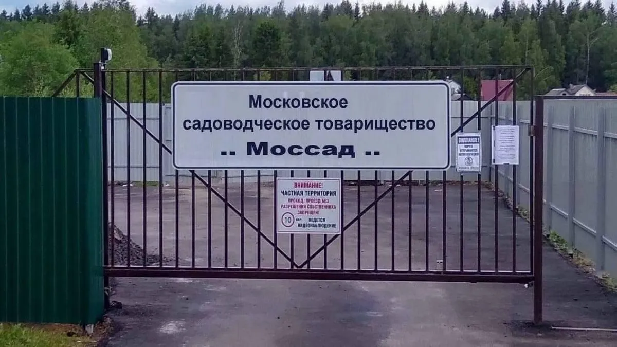 фото: соцсети