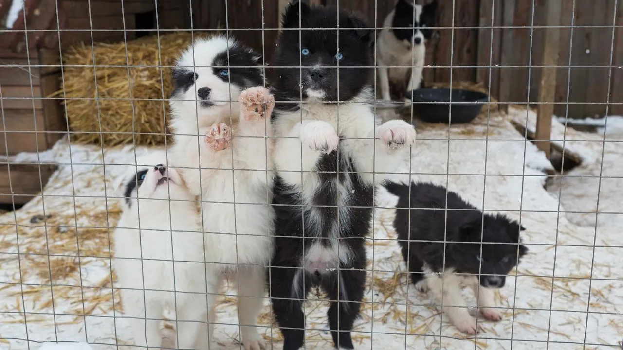 istockphoto.com/Okssi68