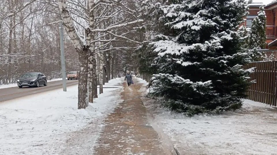 Фото: администрация Одинцовского городского округа