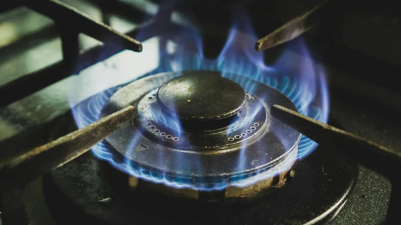 В Подмосковье с начала года проверили исправность более 180 тыс. газовых плит
