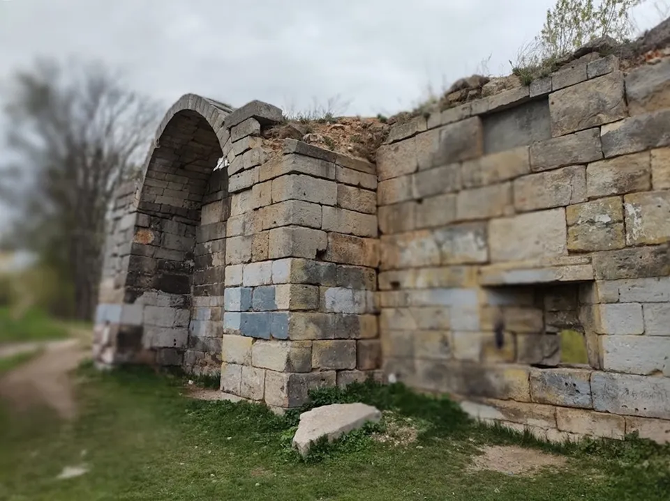 Фото: REGIONS/Алексей Селиверстов