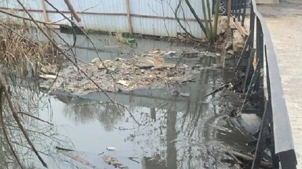 Фото: Минэкологии МО