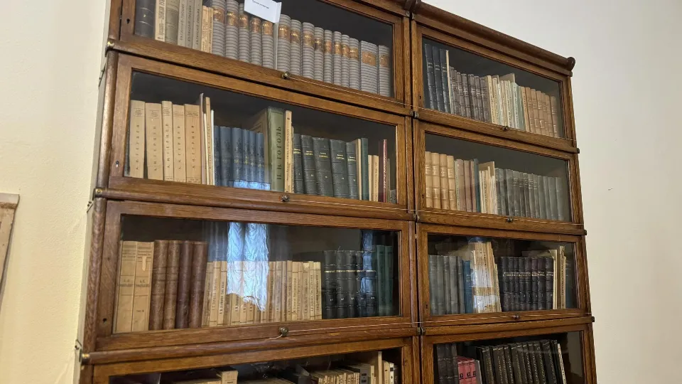 Фото: Полина Абраменко