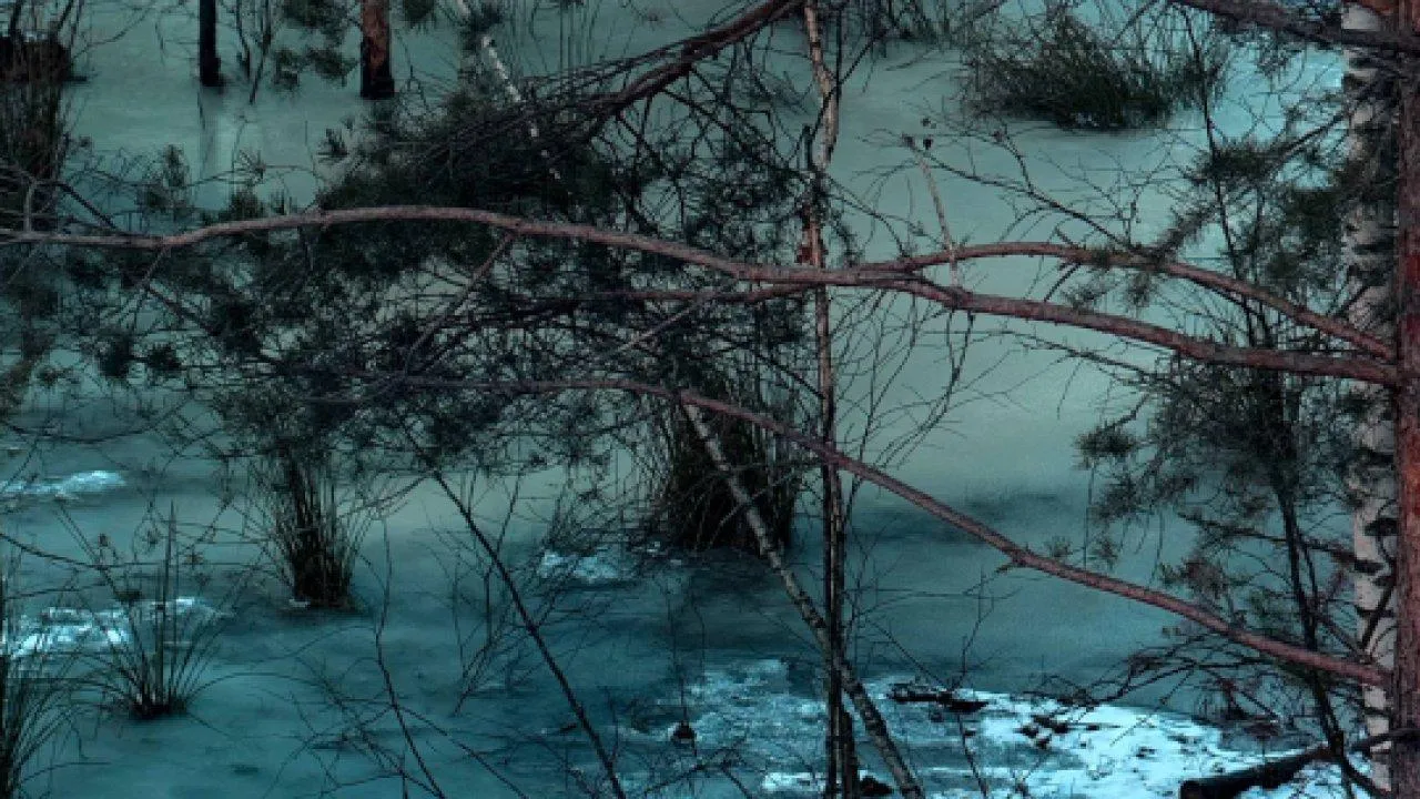 REGIONS/Дарья Кудинова