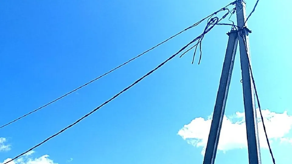 Фото: пресс-служба администрации м.о. Лотошино