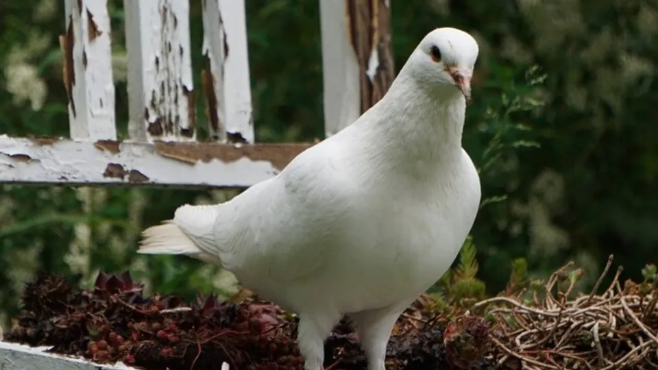 Фото: freepik.com