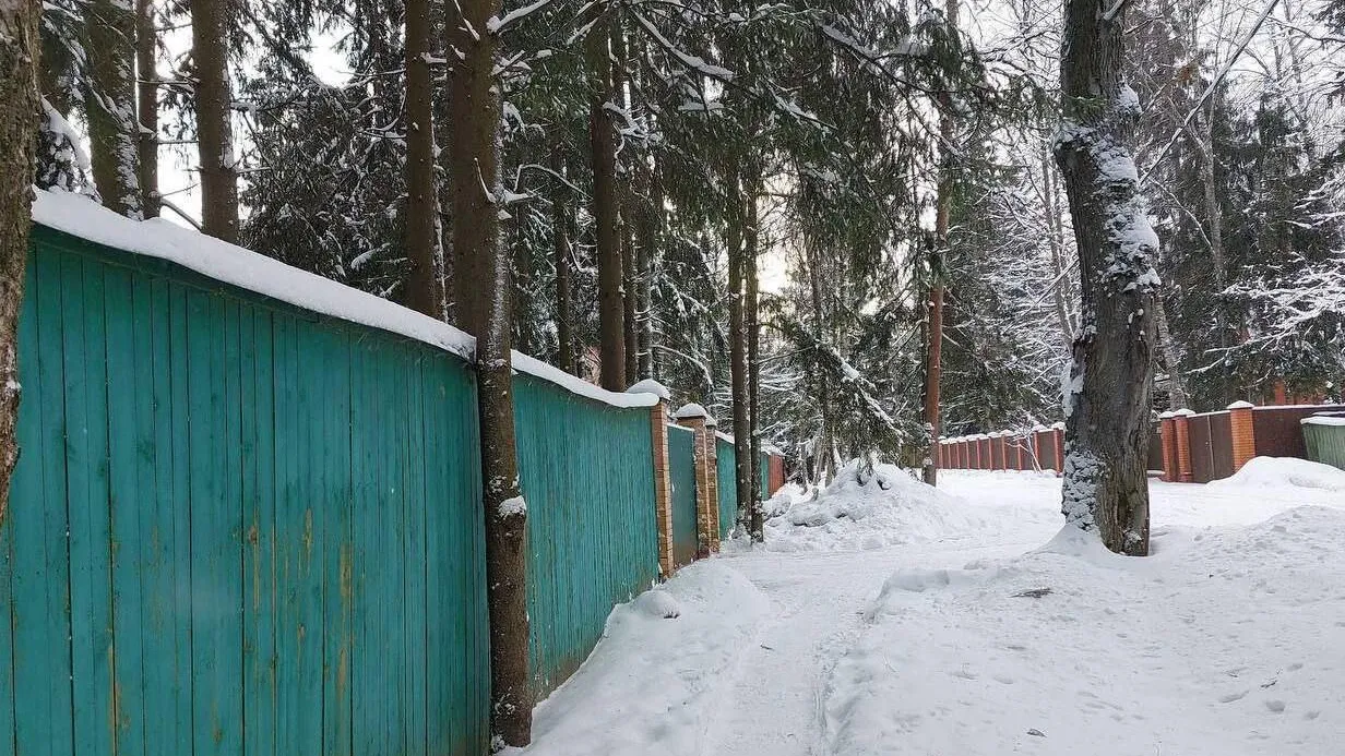 Фото: Министерство имущественных отношений Московской области