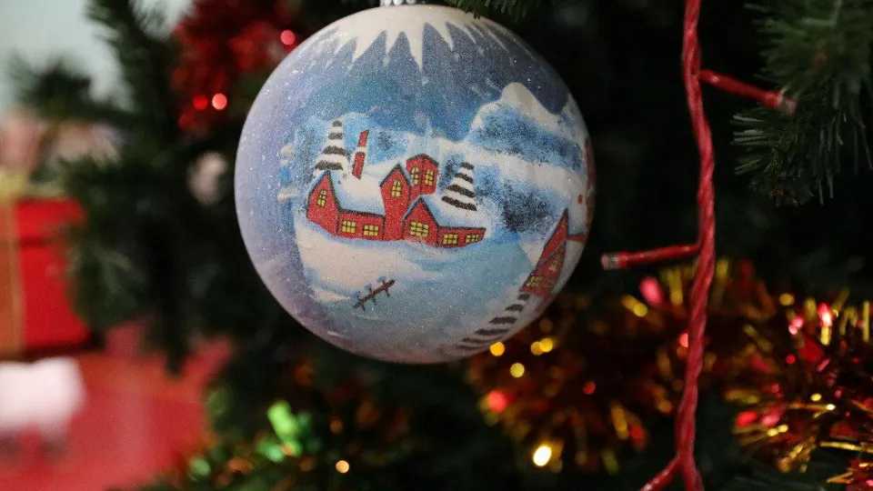 Фото: t.me/olegsotnikdol