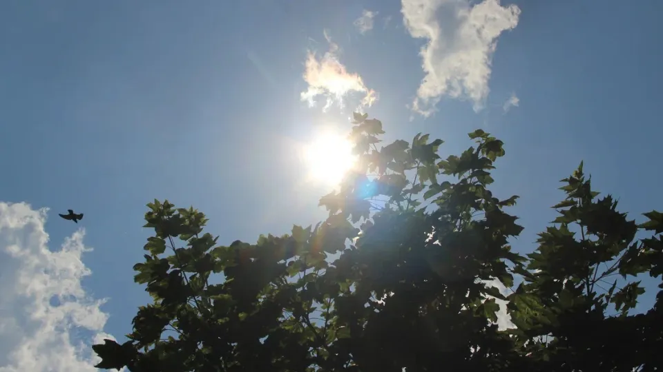 Фото: REGIONS/Василий Тремасов