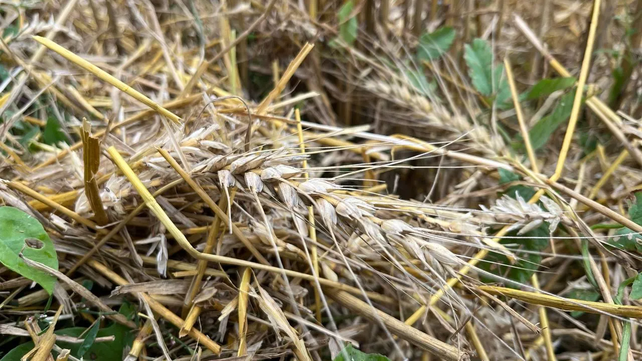 Пресс-служба Минсельхозпрод МО