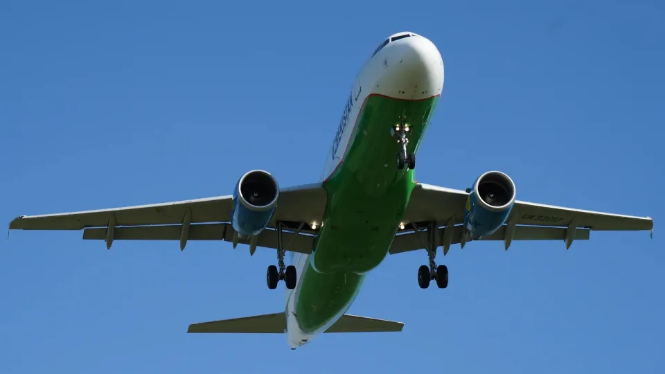 REGIONS/Дарина Левкина