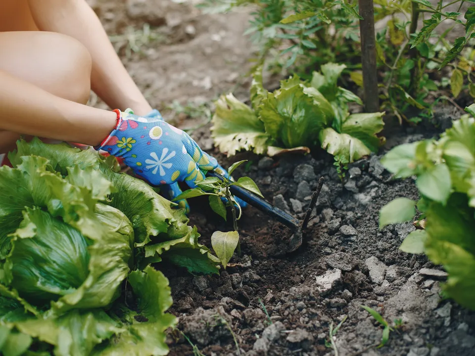 Фото: freepik.com