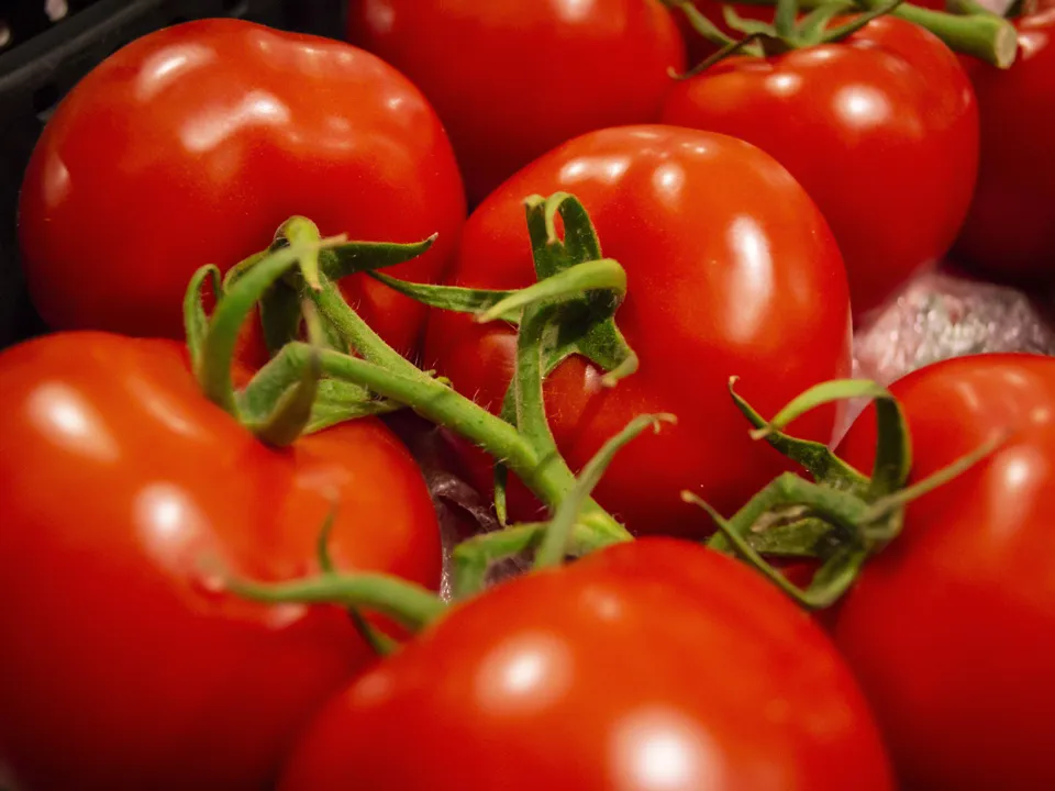 Фото: istockphoto.com/Maksym Kapliuk&nbsp;