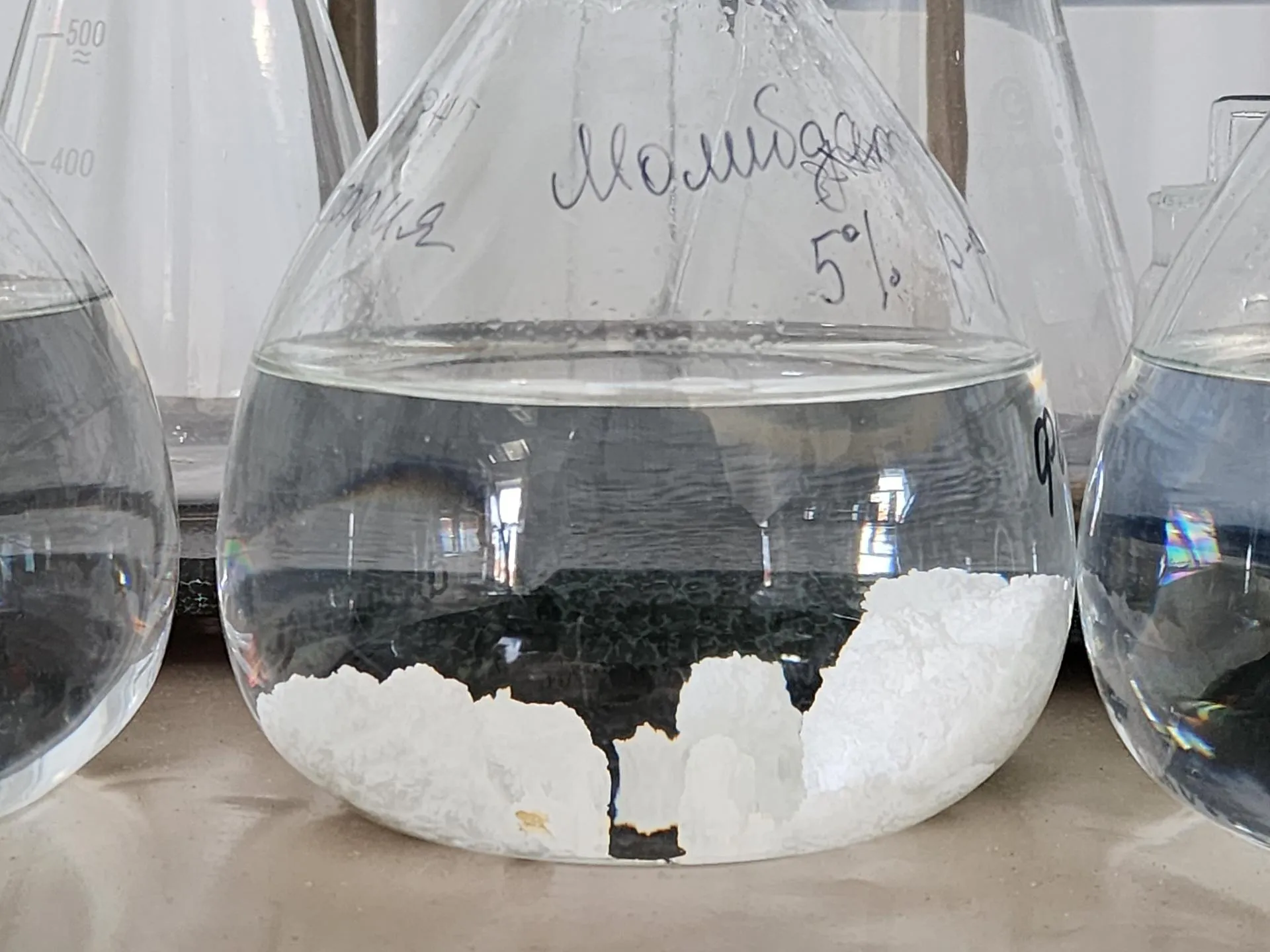 Фото: Ольга Аввакумова