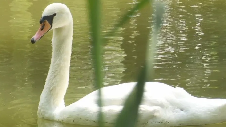 Фото: пресс-служба администрации г.о. Клин