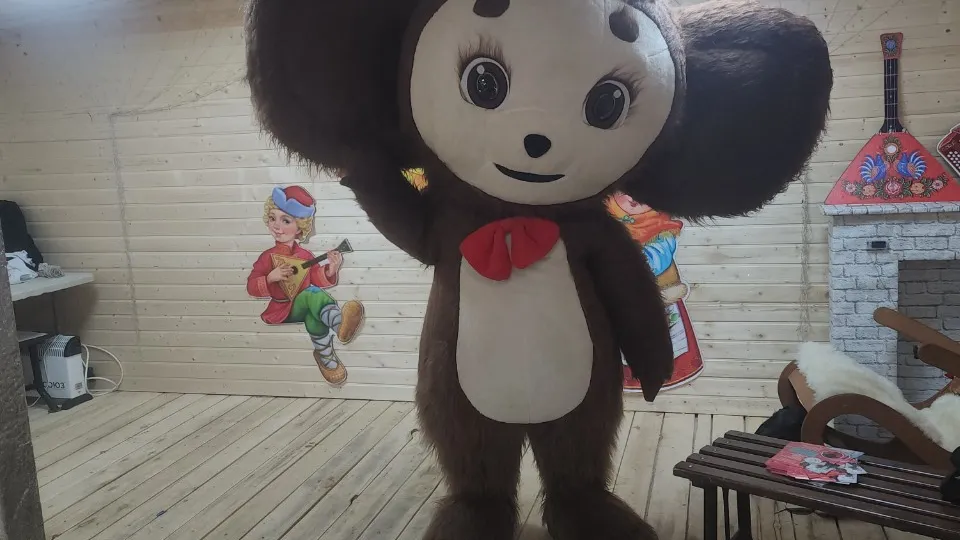 Фото: МедиаБанк Подмосковья/Михаил Раскин