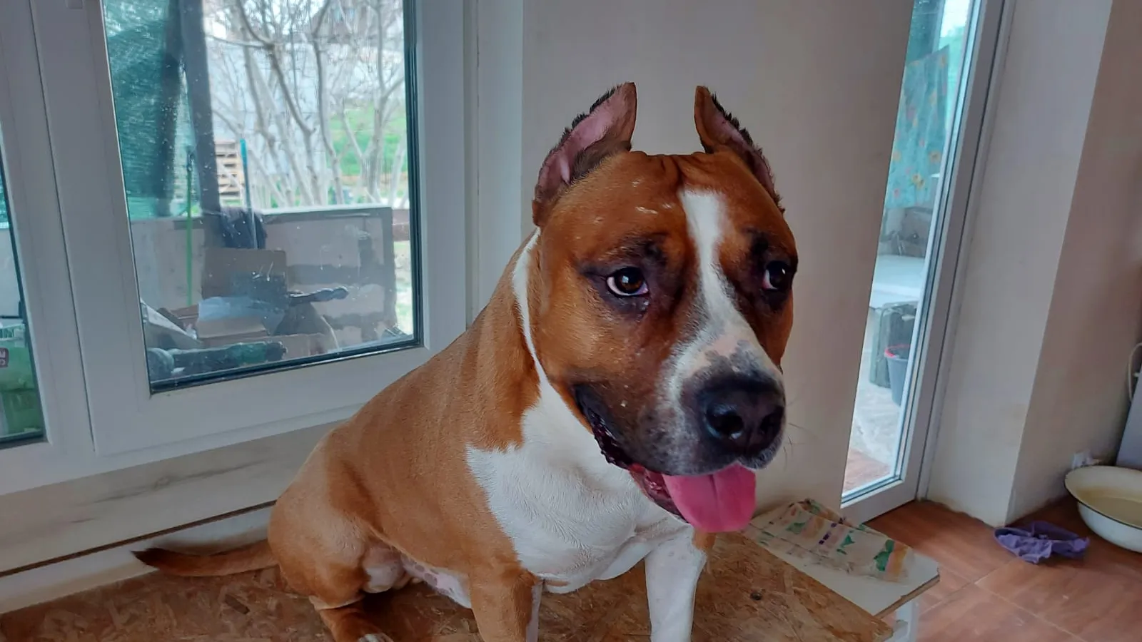 Фото: Наталия Надточая