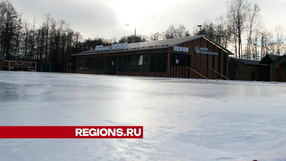 Фото: REGIONS/Василий Тремасов