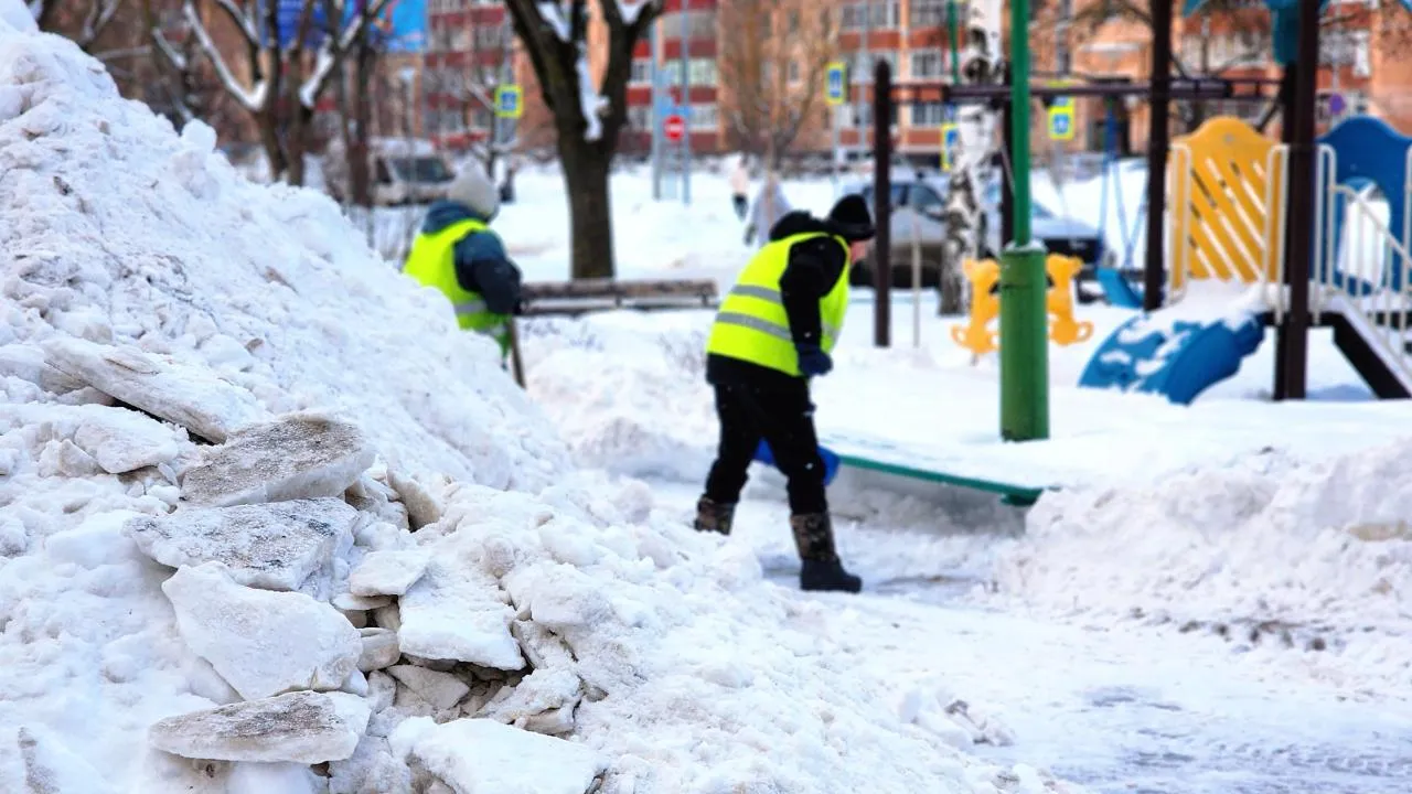 REGIONS/Полина Пахомова