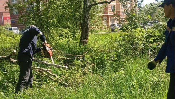 Фото: Администрация г.о. Лобня