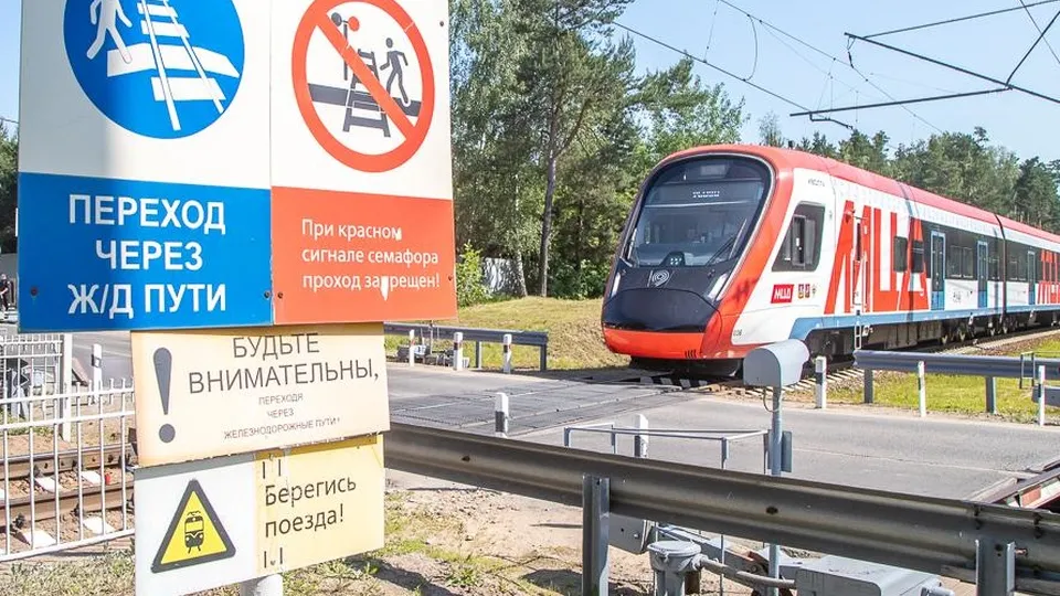 Фото: пресс-служба администрации Одинцовского городского округа