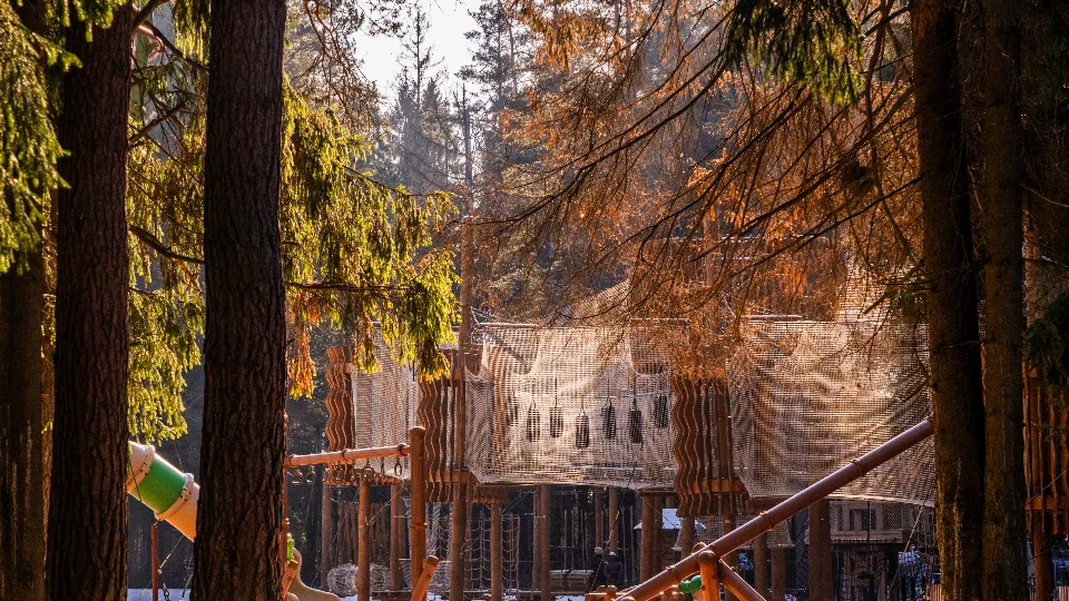 Фото: медиасток.рф