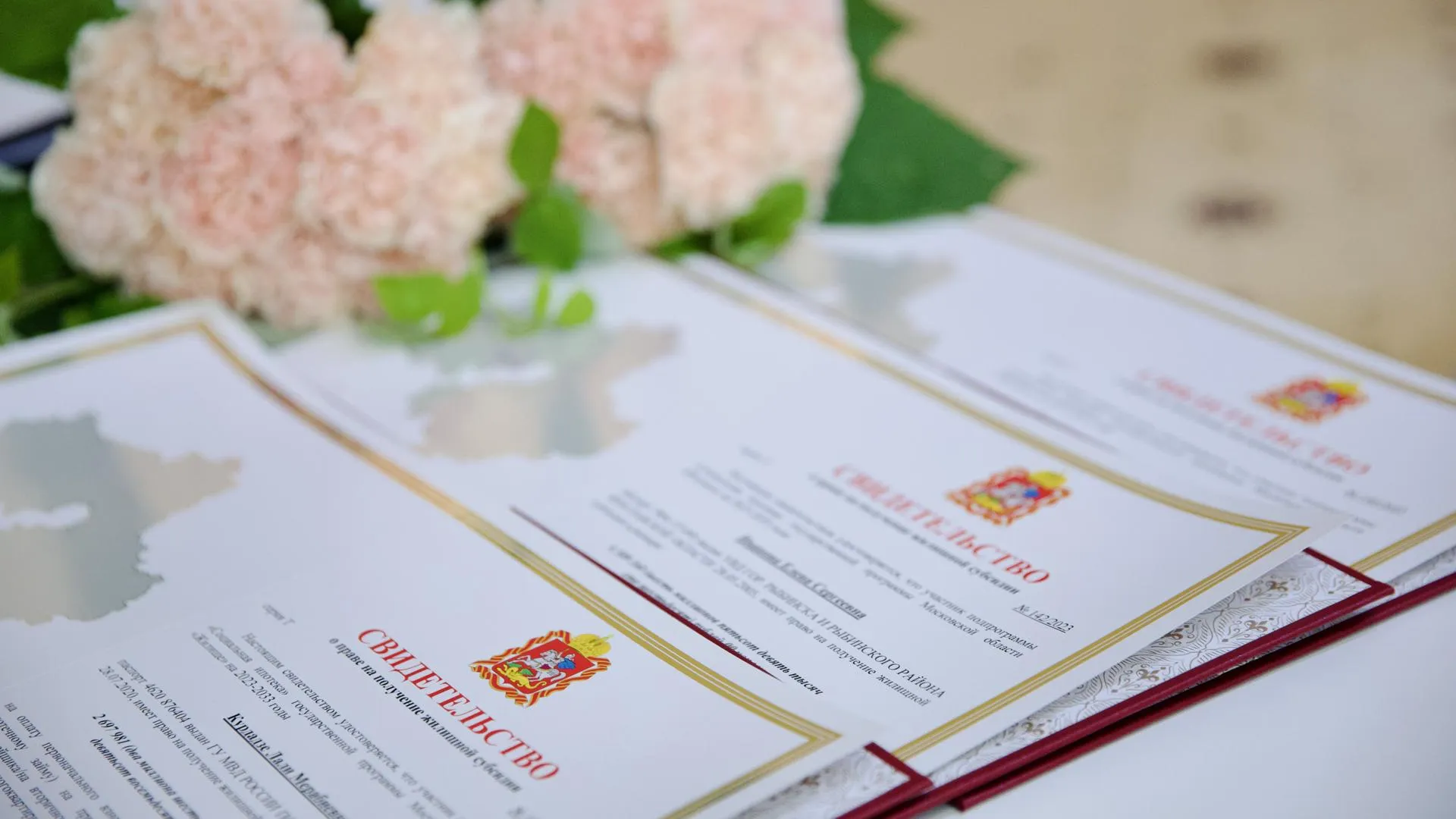 пресс-служба губернатора и правительства Московской области