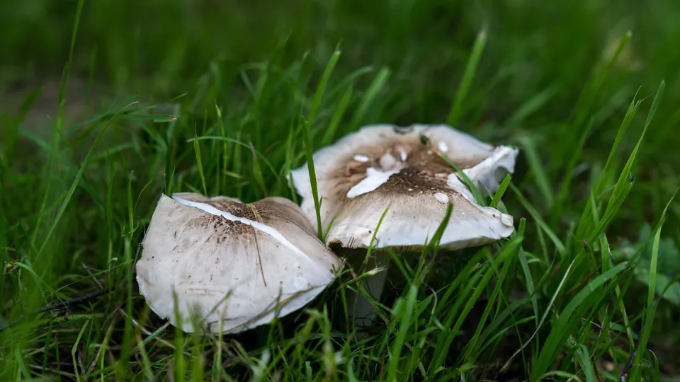 Фото: Наталия Надточая