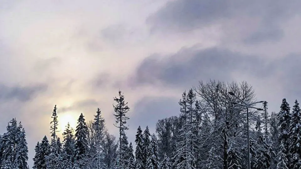 Фото: REGIONS/Роман Малышенко