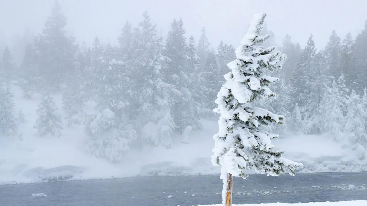 медиасток.рф