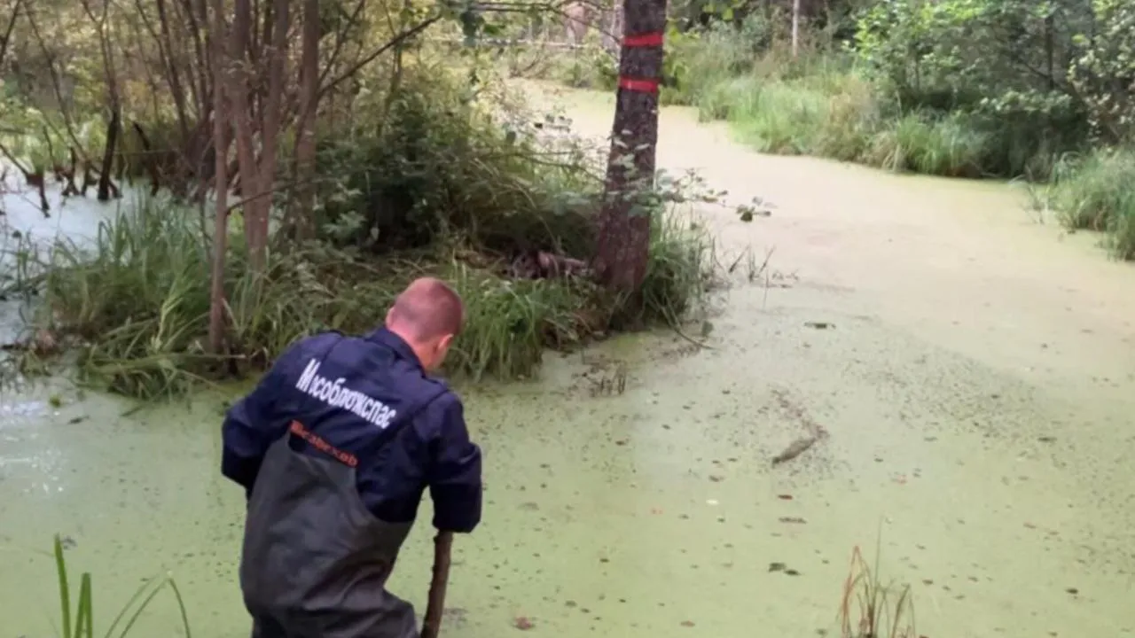 Фото: предоставлено Артемом Шмидковым